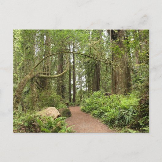Karl Knapp Trail Briefkaart (Voorkant)