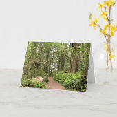 Karl Knapp Trail Kaart (Gele Bloem)