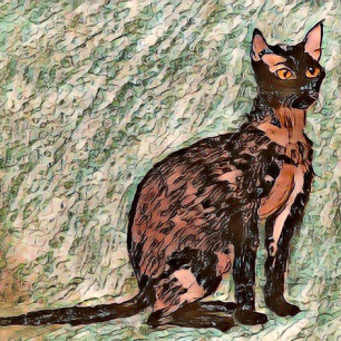 Karl The Cat 🐈 Kussen