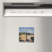 Karlovy Vary Souvenir Magnet (Insitu (Vaatwasser))