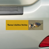 Karma maakt geen gebruik van de Bumpersticker 7 (Op auto)