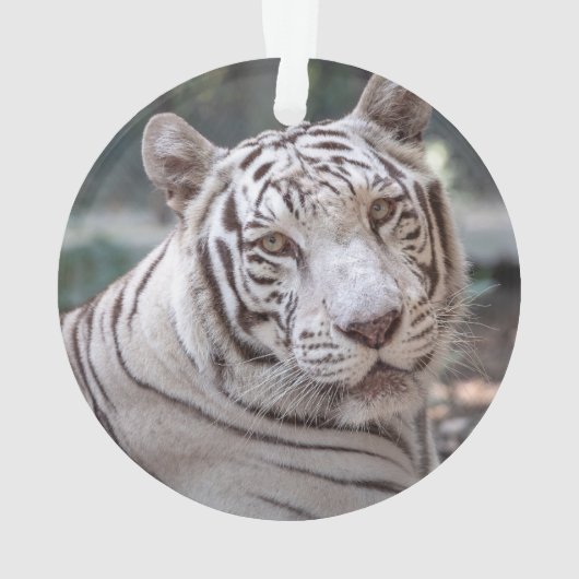 Karma - ornament (achterkant)