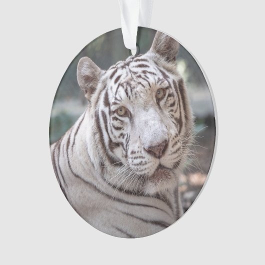 Karma - ornament (voorkant)