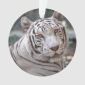 Karma - ornament (voorkant)