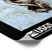 Karman Vortices Poster (Hoek)