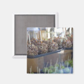 Karmel appels, Pioneer Square, Seattle Magneet (Voorkant / Achterkant)