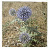 Karmeliëf, aardewerk tegeltje (Voorkant)