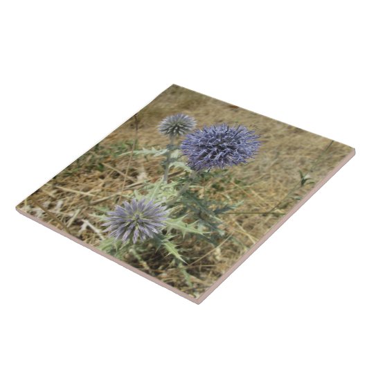 Karmeliëf, aardewerk tegeltje (Zijkant)