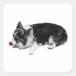 karmozijnrode kalme lik, corgi vierkante sticker