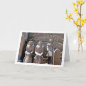 Karnak-tempel, standbeelden op de Chachette Court Kaart (Gele Bloem)