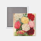 Karnalen Zaadpakket Magnet (Voorkant / Achterkant)