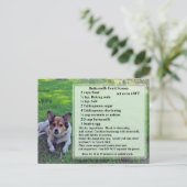 Karnemelkvruchtenmoes Briefkaart ontvangen (Staand voorkant)