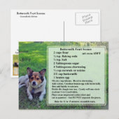 Karnemelkvruchtenmoes Briefkaart ontvangen (Voorkant / Achterkant)