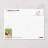 Karnemelkvruchtenmoes Briefkaart ontvangen (Achterkant)