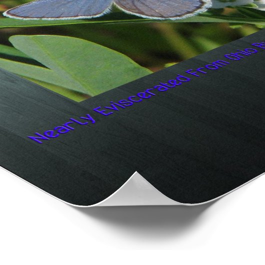 karner blue print (Hoek)