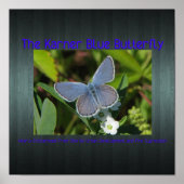 karner blue print (Voorkant)