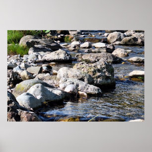 Karpater Rivier - Roemenië Natuurprint Poster