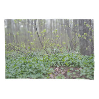 Karpatische Bosbodem Roemenië Natuurfotografie Kussensloop