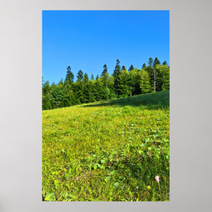 Karpatische Groene Weide - Roemeense Bergprint Poster