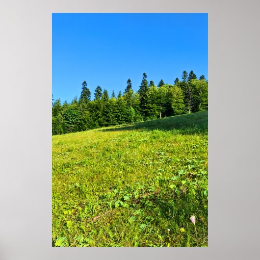 Karpatische Groene Weide - Roemeense Bergprint Poster (Voorkant)