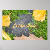  karpe Diem met kleurrijke bladeren Poster (Voorkant)