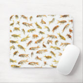 Karper (Cyprinus carpio) 2 Muismat (Met muis)