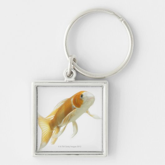 Karper (Cyprinus carpio) Sleutelhanger (Voorkant)