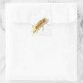 Karper (Cyprinus carpio) Vierkante Sticker (Tas)