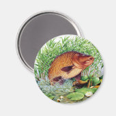 Karper Gevist Magneet (Voorkant / Achterkant)