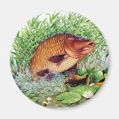 Karper Gevist Magneet (Voorkant)