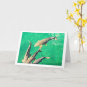 Karper Kaart (Gele Bloem)