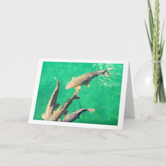 Karper Kaart (Voorkant)