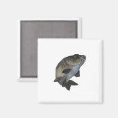 Karper. Magneet (Voorkant / Achterkant)