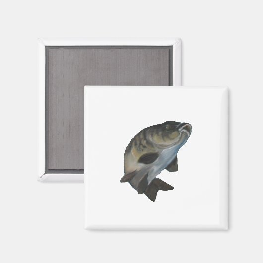 Karper. Magneet (Voorkant / Achterkant)