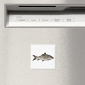 karper met franje en lippen magneet (Insitu (Vaatwasser))