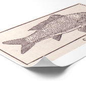 karper poster (Hoek)