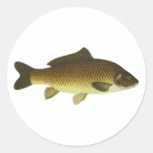 karper ronde sticker (Voorkant)