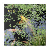 karper tegeltje (Voorkant)