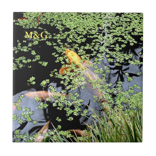 karper tegeltje (Voorkant)