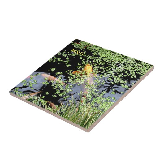 karper tegeltje (Zijkant)