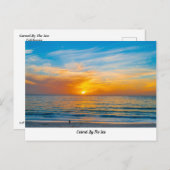 Karper van het Briefkaart van de Zee (Voorkant / Achterkant)