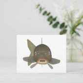 Karper - viskop briefkaart (Staand voorkant)