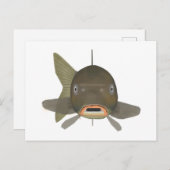 Karper - viskop briefkaart (Voorkant / Achterkant)