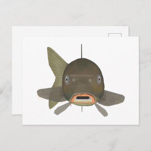 Karper - viskop briefkaart (Voorkant / Achterkant)