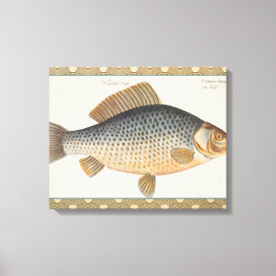 Karper vissen schilderen zoetwater tekening canvas afdruk