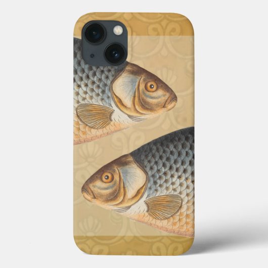 Karper vissen schilderen zoetwater tekening Case-Mate iPhone case (Achterkant)