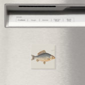 Karper vissen schilderen zoetwater tekening magneet (Insitu (Vaatwasser))