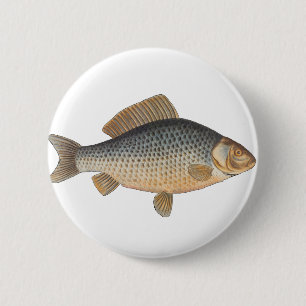 Karper vissen schilderen zoetwater tekening ronde button 5,7 cm