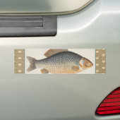 Karper vissen vissen schilderen zoetwater tekening bumpersticker (Op auto)
