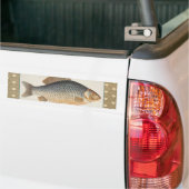 Karper vissen vissen schilderen zoetwater tekening bumpersticker (Op Truck)